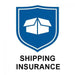 Extra Insurance 25 - SPSI Inc.